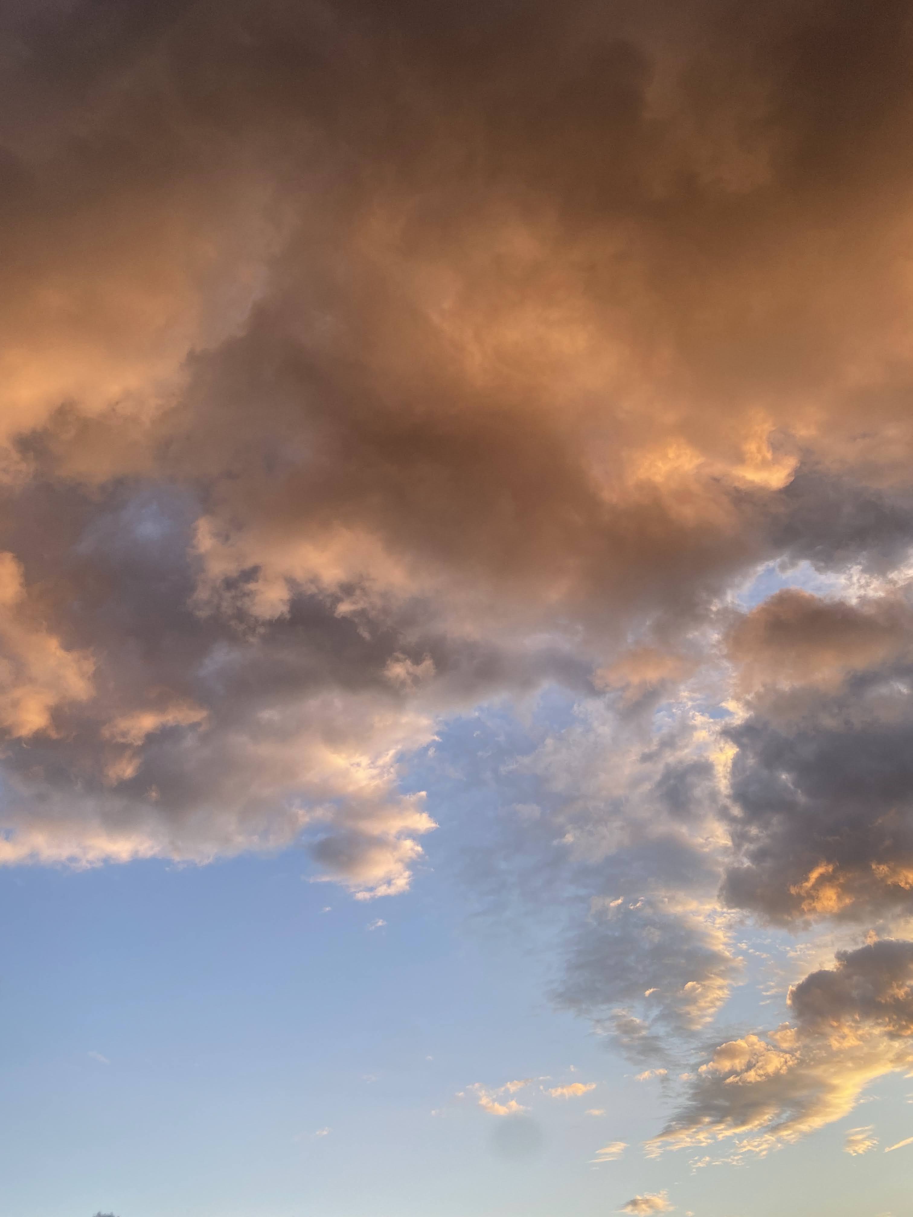 Ciel